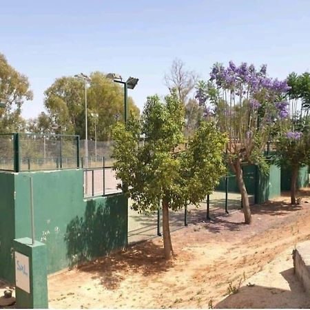 Alojamiento Con Piscina Y Parking En Sevilla La Algaba Buitenkant foto